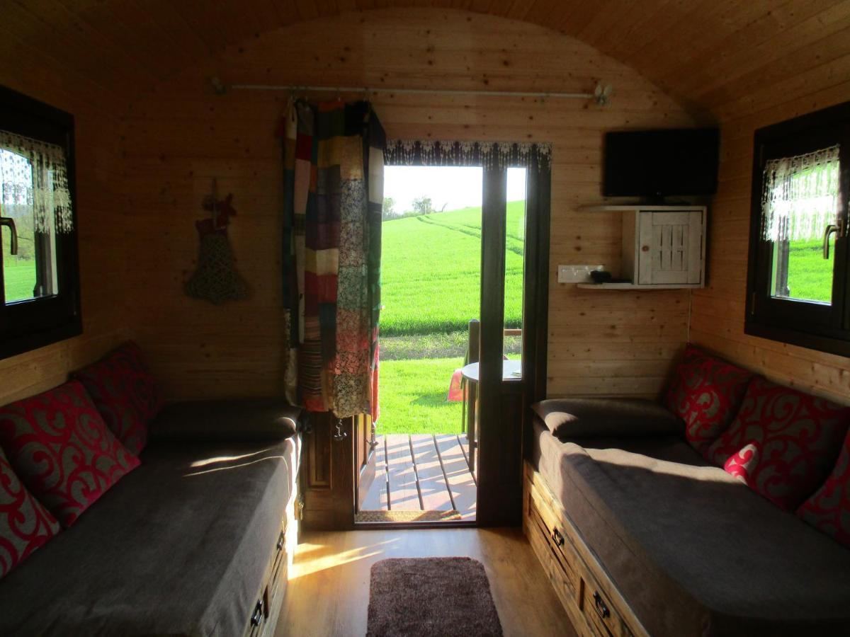 Roulotte Panoramique Du Moulin Bed & Breakfast Châtillon-sur-Marne Екстериор снимка